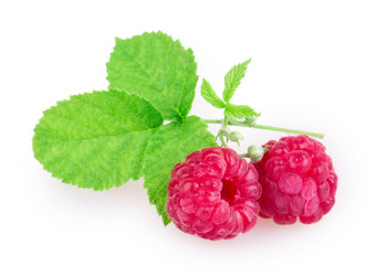 Similar image 2948109