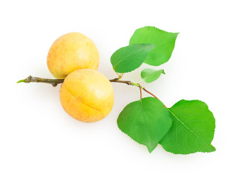 Similar image 2948115