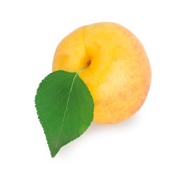 Similar image 2948117