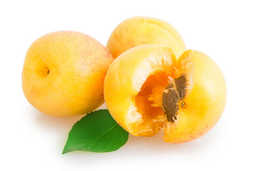 Similar image 2948120