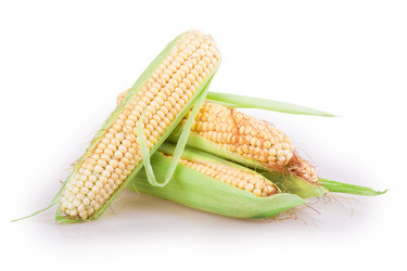 Similar image 2948122