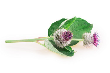 Similar image 2948123