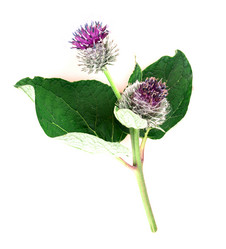 Similar image 2948124