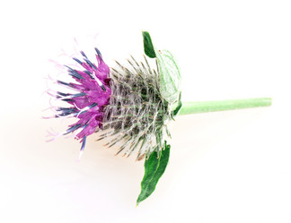 Similar image 2948125