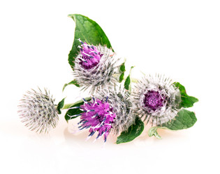 Similar image 2948127