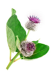 Similar image 2948129