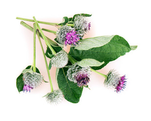 Similar image 2948130