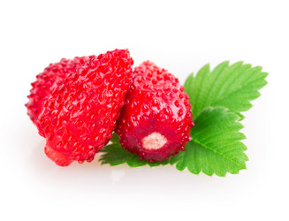 Similar image 2948134