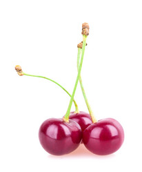 Similar image 2948136