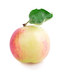 Similar image 2948140