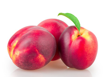 Similar image 2948145