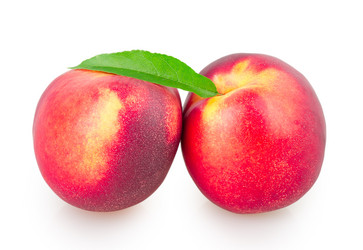 Similar image 2948146