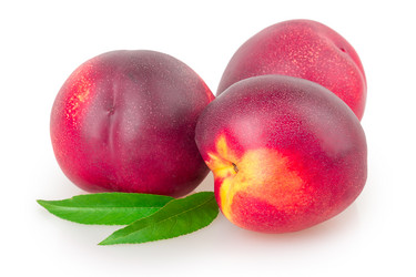 Similar image 2948147