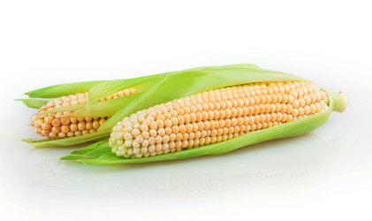 Similar image 2948153