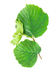 Similar image 2948157