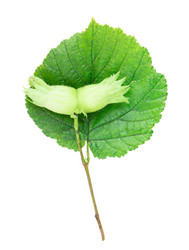 Similar image 2948158