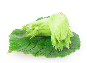 Similar image 2948159