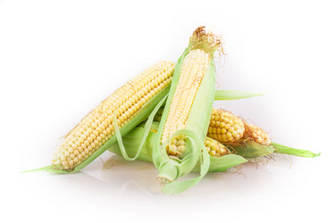 Similar image 2948160