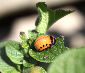 Similar image 2948216