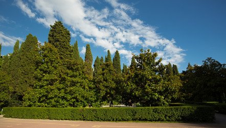 Similar image 2948254