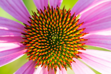 Similar image 2948255