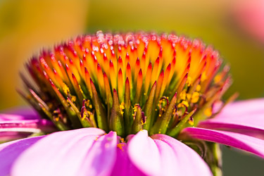 Similar image 2948256