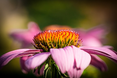 Similar image 2948258