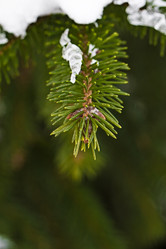 Similar image 2948260