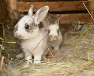 Similar image 2948800