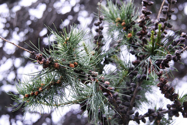 Similar image 2948802