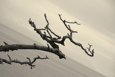 Similar image 2948804