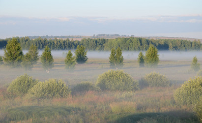 Similar image 2948820