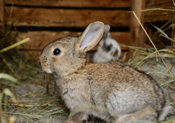 Similar image 2948839