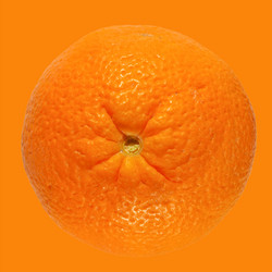 Similar image 2948850