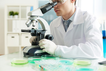 Similar image 2949022