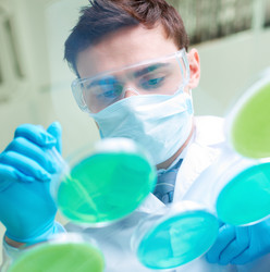 Similar image 2949023