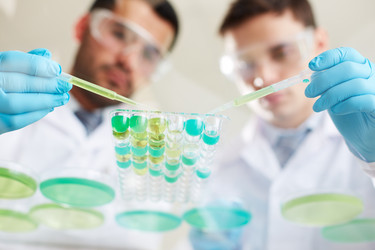 Similar image 2949024