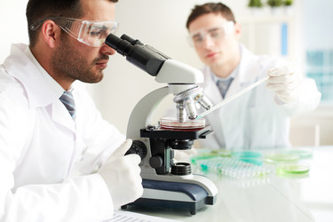 Similar image 2949035