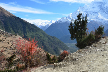 Similar image 2949076