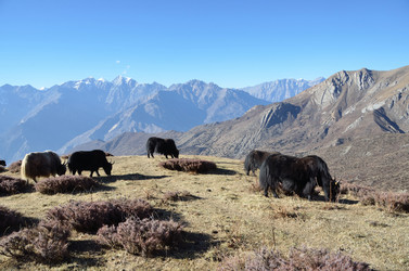 Similar image 2949105