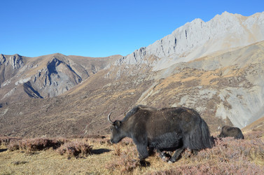 Similar image 2949107