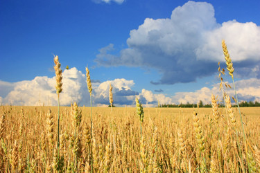 Similar image 2949166