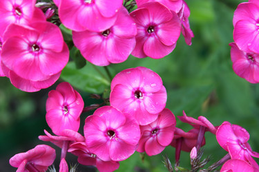 Similar image 2949171