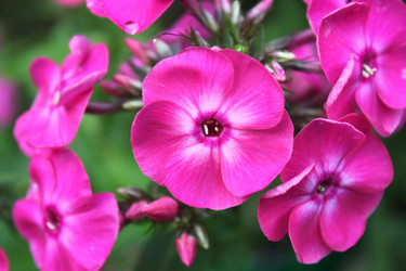 Similar image 2949174