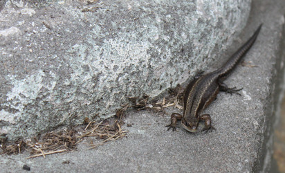 Similar image 2949222