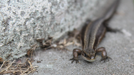 Similar image 2949223