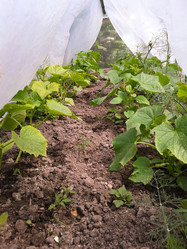 Similar image 2949312