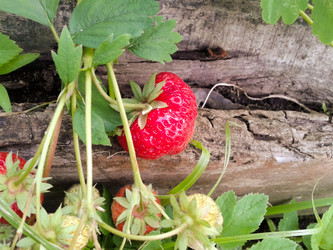 Similar image 2949335