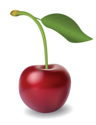 Similar image 2949346