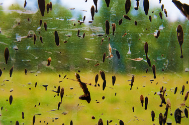 Similar image 2949359